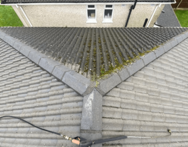 The Importance of Roof Cleaning Services in South Dublin