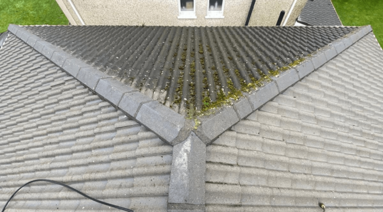 The Importance of Roof Cleaning Services in South Dublin