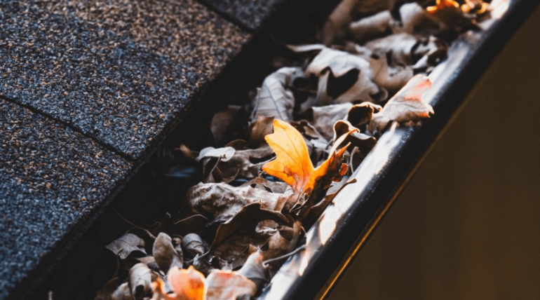 The Importance of Gutter Cleaning in South Dublin: Leave it to the Professionals!