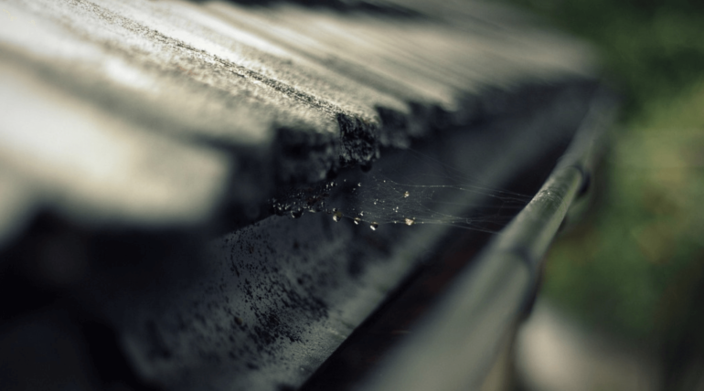 The Importance of Professional Gutter Cleaning in Dublin this Autumn