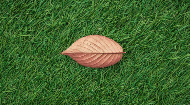 New leaf Landscaping pic